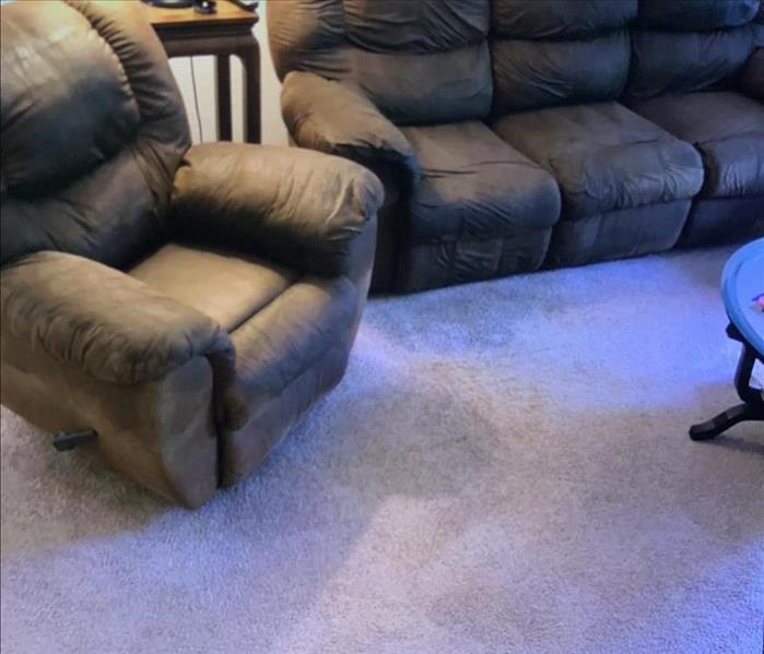 Furniture and carpet cleaned